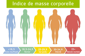 Indice de masse corporelle